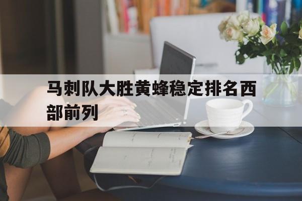 马刺队大胜黄蜂稳定排名西部前列的简单介绍